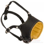 Comfortable Loop-Like Leather Muzzle for Great Dane Daily Use