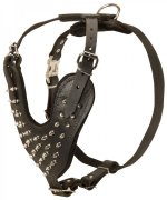 Spiked Leather Great Dane Harness for Fashion Dog Walking