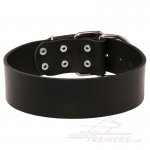 Wide Leather Great Dane Collar for Walking and Training