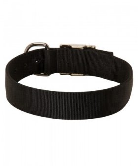 Practical Nylon Great Dane Collar for All Weather Activity
