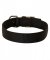 Practical Nylon Great Dane Collar for All Weather Activity