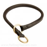 Rolled Leather Choke Collar for Great Dane