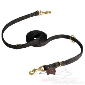 Water Resistant Nylon Great Dane Leash