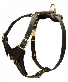Leather Great Dane Harness for Walking and Different Kinds of Training