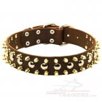 Brutal Leather Great Dane collar with 3 Rows of Decorations