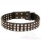 Studded Leather Great Dane Collar of High Quality