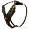 Adjustable Leather Great Dane Harness for Dog Training and Walking