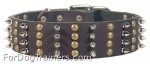 Fabulous Leather Great Dane Collar with 4 Rows of Spikes and Studs