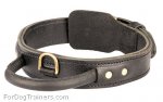 Super Strong and Comfy 2 Ply Leather Collar for Great Dane