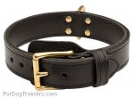 Wide 2-Ply Leather Dog Collar for Great Dane