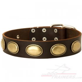 Gorgeous Vintage Dog Leather Collar for Great Dane