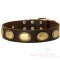 Gorgeous Vintage Dog Leather Collar for Great Dane