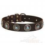 Walking Leather Great Dane Collar with Nickel Circles and Blue Stones
