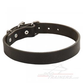 Classic Leather Great Dane Collar 1 1/4 inch (3 cm) width