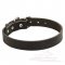 Classic Leather Great Dane Collar 1 1/4 inch (3 cm) width