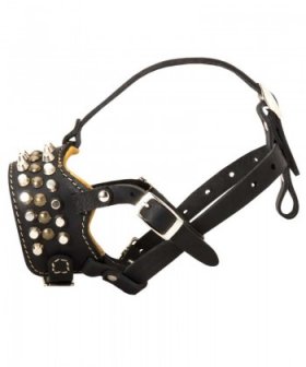 Studded Leather Dog Muzzle for Great Dane
