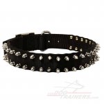 Nylon Great Dane Collar with Spikes