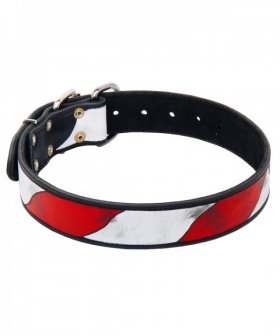 Painted American Pride Leather Great Dane Collar