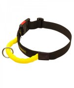 Adjustable Nylon Great Dane Collar for Maximal Control