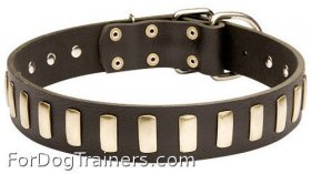 Wide Leather Great Dane Collar with Riveted Plates