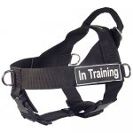 Nylon Great Dane Harness for Pulling, Tracking, Training and K9 Service