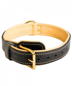 Super Soft Nappa Padded Leather Collar for Great Dane