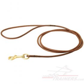 Amazing Show Leather Leash for Great Dane