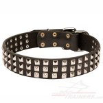Studded Leather Great Dane Collar of High Quality
