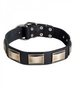 Plated Leather Dog Collar for Great Dane Walking