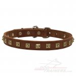 Great Dane leather dog collar 25mm - "Caterpillar"