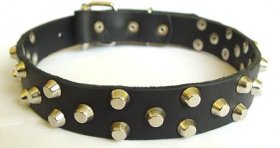 Studded Leather Great Dane Collar with Pyramids