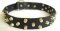 Studded Leather Great Dane Collar with Pyramids
