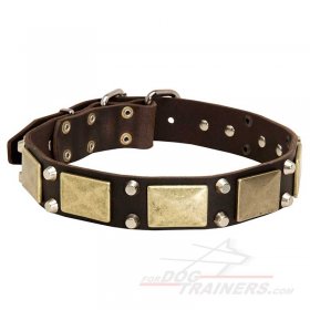 Reliable Leather Great Dane Collar with Brass Plates and Nickel Plated Cones