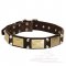 Reliable Leather Great Dane Collar with Brass Plates and Nickel Plated Cones