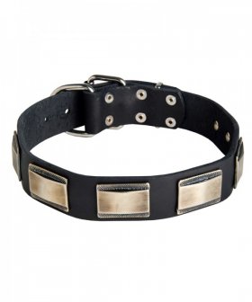 Plated Leather Dog Collar for Great Dane Walking