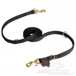 Water Resistant Nylon Great Dane Leash