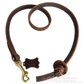 Professional Pocket Leather Dog Training Leash for Great Dane