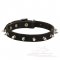 Spiked leather dog collar for Great Dane
