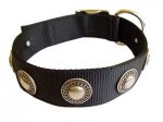 Wide Nylon Great Dane Collar with Silvery Circles