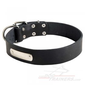 Quality Leather Great Dane Collar with ID Tag