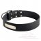 Quality Leather Great Dane Collar with ID Tag
