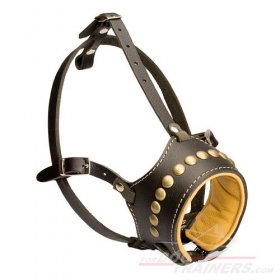 Studded Leather Great Dane Muzzle with Nappa Padding