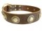Decorated Leather Great Dane Collar with Conchos