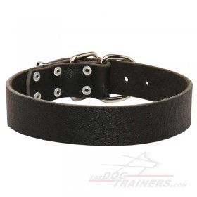Premium Qaulity 1 1/2 inch Leather Collar for Great Dane