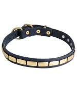 Leather Great Dane Collar with Small Elegant Brass Plates