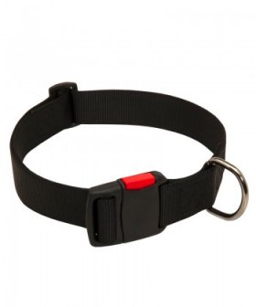 Convenient Nylon Great Dane Collar with Quick-release Buckle Buckle