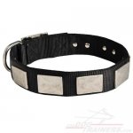 Nylon Collar with Attractive Plates for Great Dane