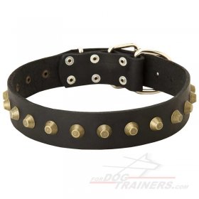 Reliable Leather Great Dane Collar with Brass Studs