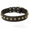 Reliable Leather Great Dane Collar with Brass Studs