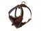 Training and Walking Leather Great Dane Harness